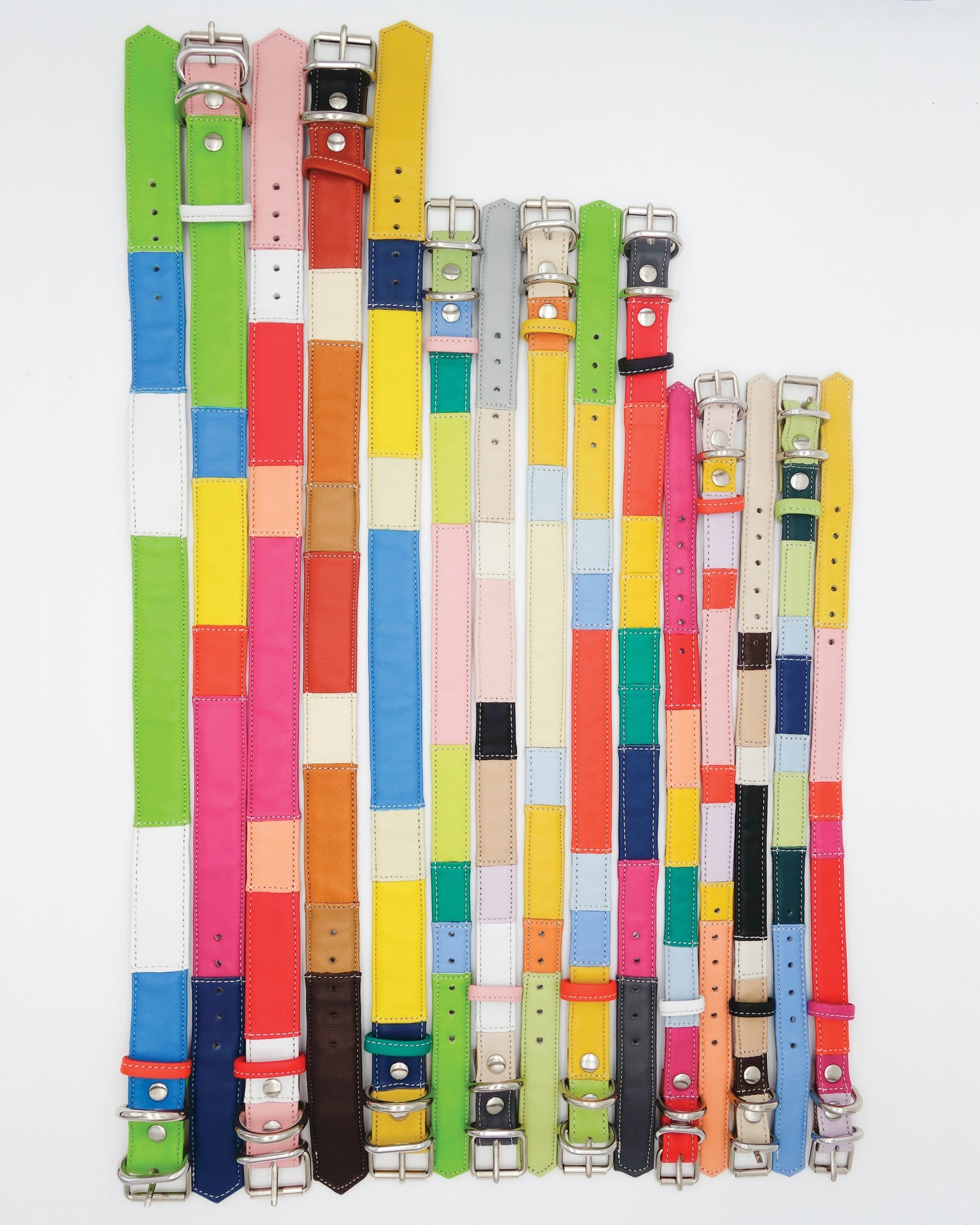 Dog Collar | Large | Cool Bright