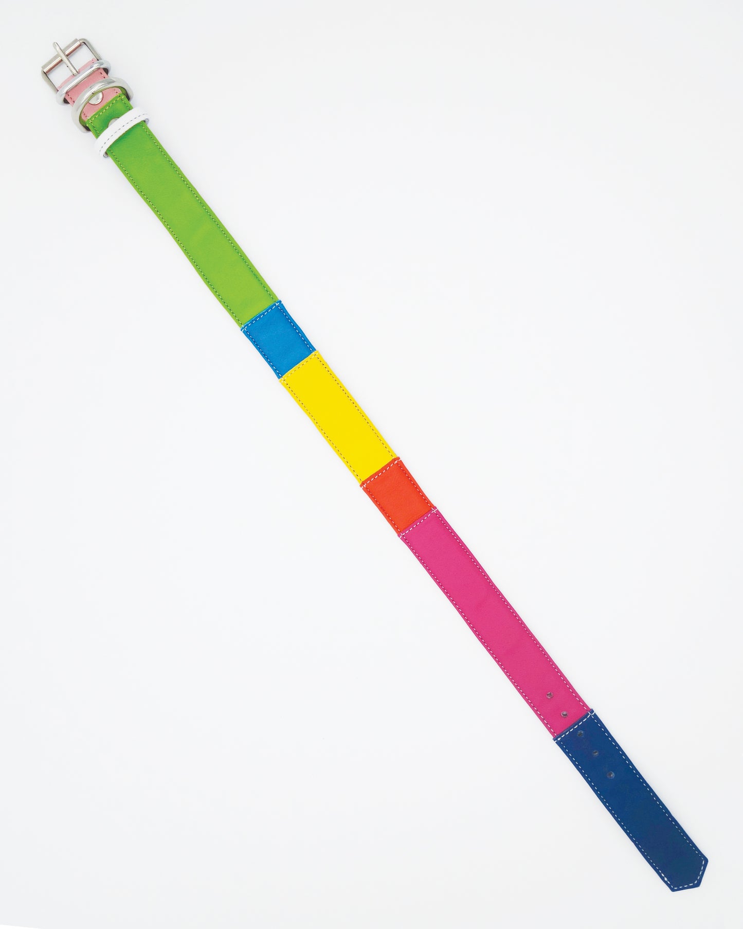 Dog Collar | Large | Spectrum